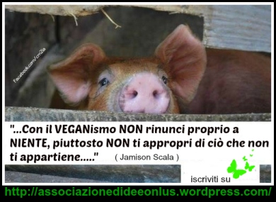 vegan not renounce ADI